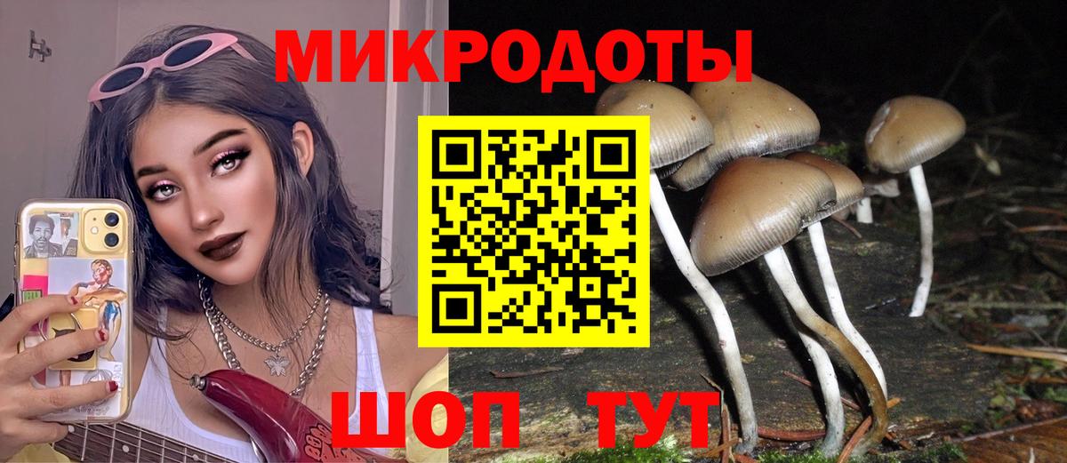 Лабытнанги  Псилоцибиновые грибы GOLDEN TEACHER  Вход с VPN 